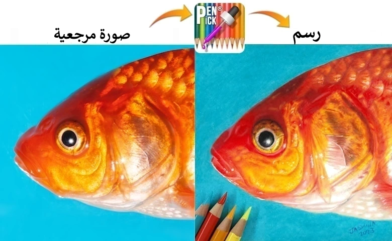 رسم سمكة بأقلام التلوين بمساعدة أداة اختيار الألوان