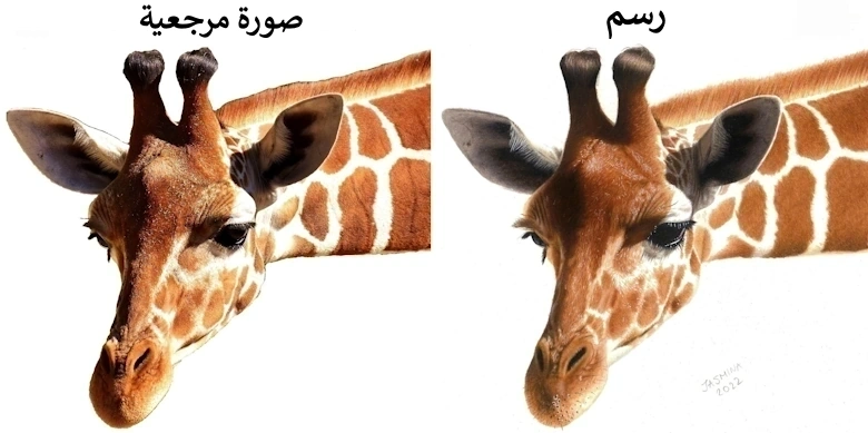 رسم زرافة بأقلام التلوين صورة مرجعية واقعية