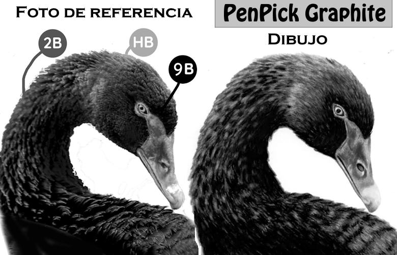 graphite pencil picker reference photo swan drawing realistic shades