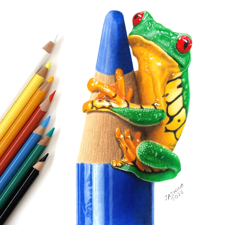 best colored pencil picker helps artists realistic drawing Prismacolor Premier