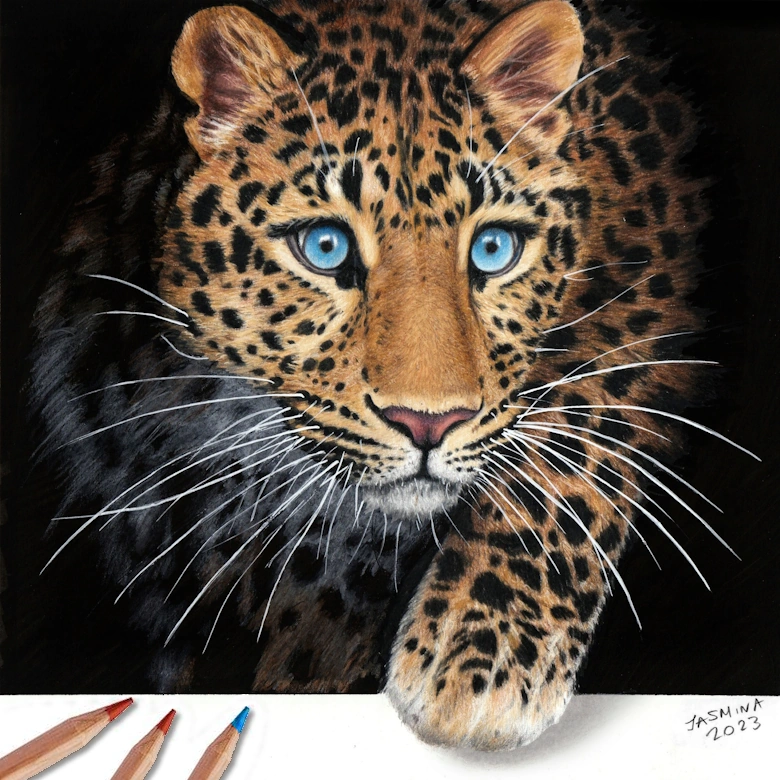 sketch lines best colored pencils for adults Caran Luminance