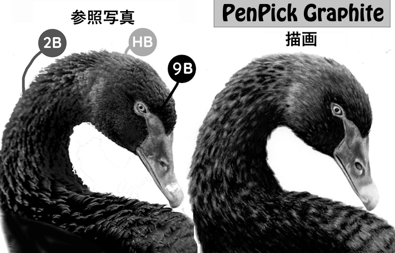 グラファイト ペンシル ピッカー リファレンス写真 白鳥の描画 リアルな色合い