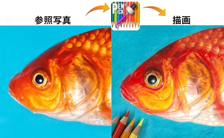 色鉛筆で描く魚のカラーピッカーのヘルプ