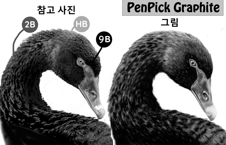색연필 드로잉 기린 참고 사진 사실감