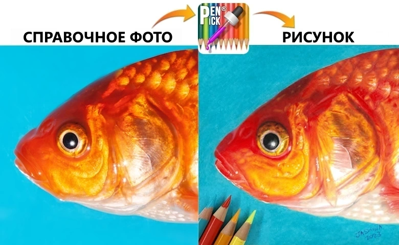 Рисунок рыбы цветными карандашами, цветовой подбирает